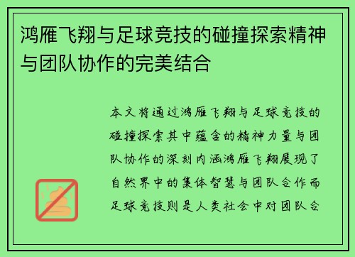 鸿雁飞翔与足球竞技的碰撞探索精神与团队协作的完美结合